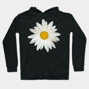 Daisy flower Hoodie